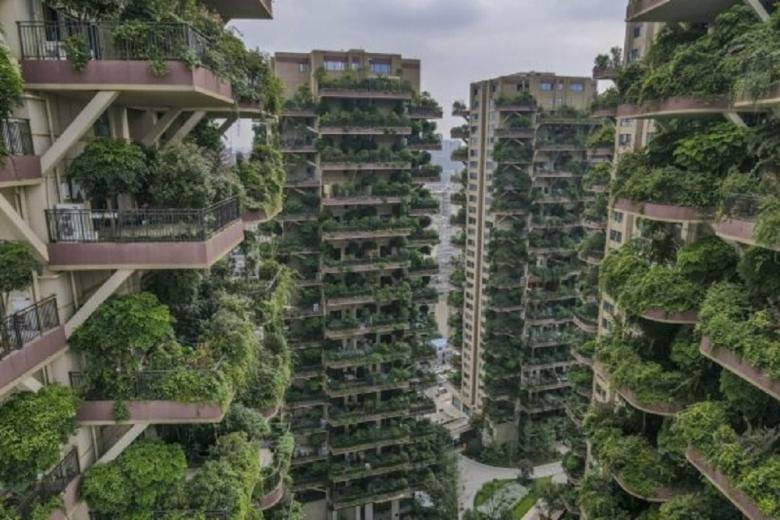 В Китае провалился проект жилого комплекса с «вертикальным лесом»